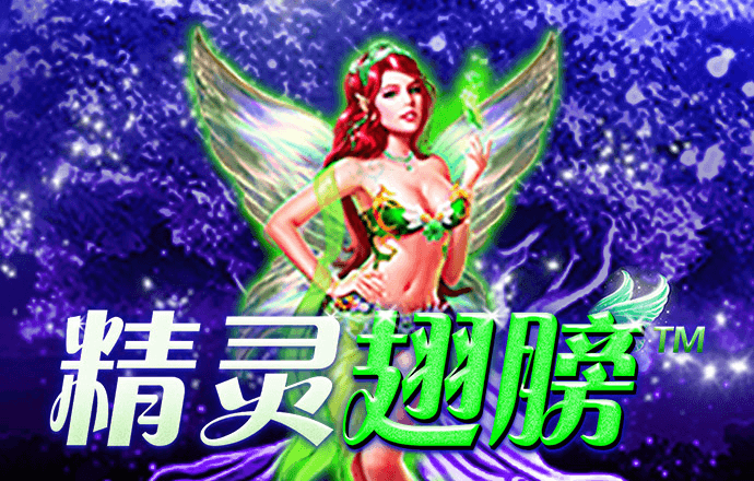 华体app